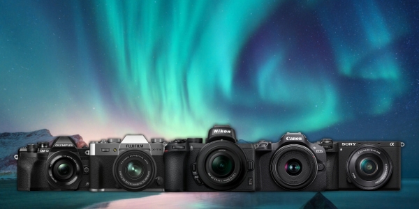 Top 10 Mirrorless Cameras for Beginners in 2024